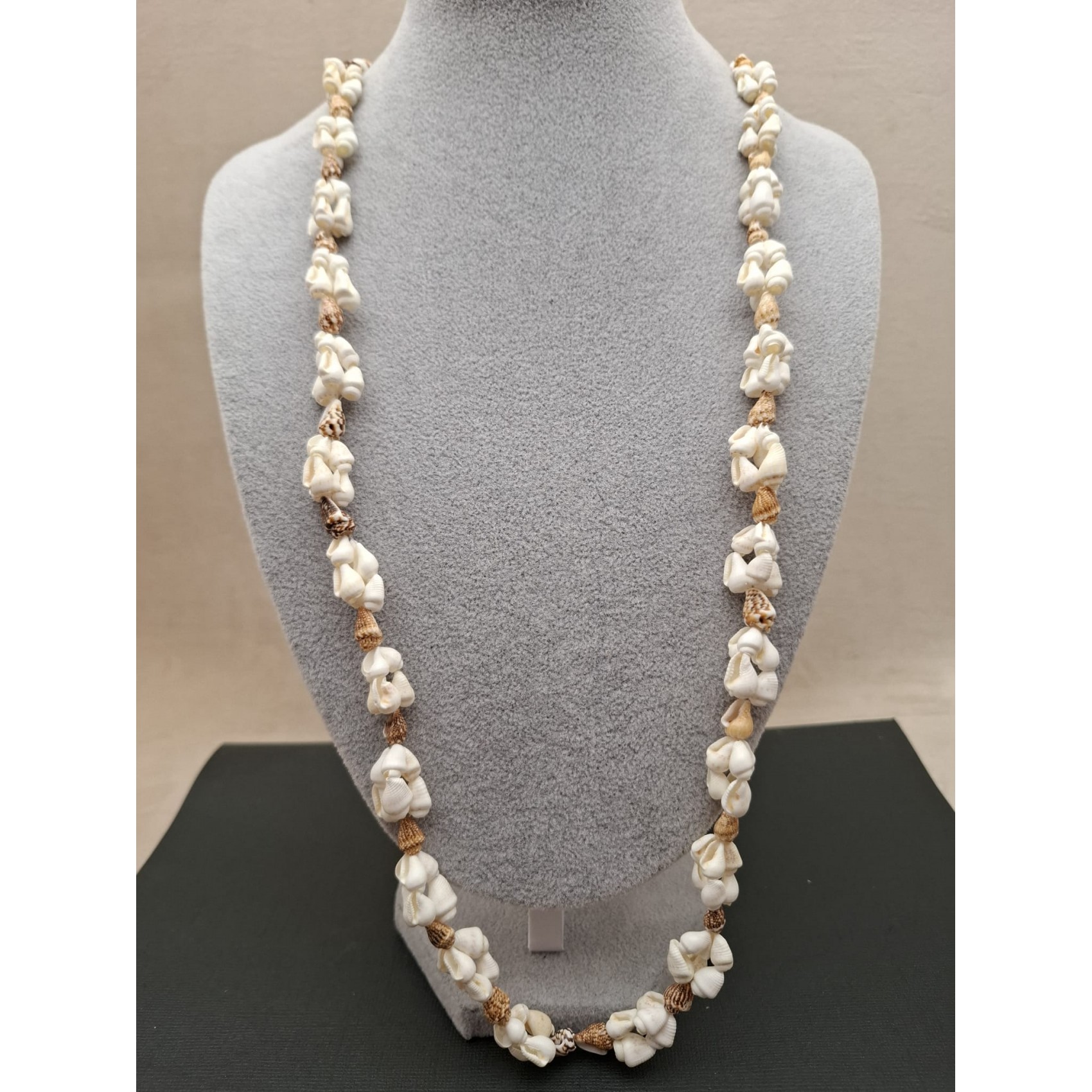 Kaklarota ( gliemežvāki )