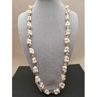 Kaklarota ( gliemežvāki )