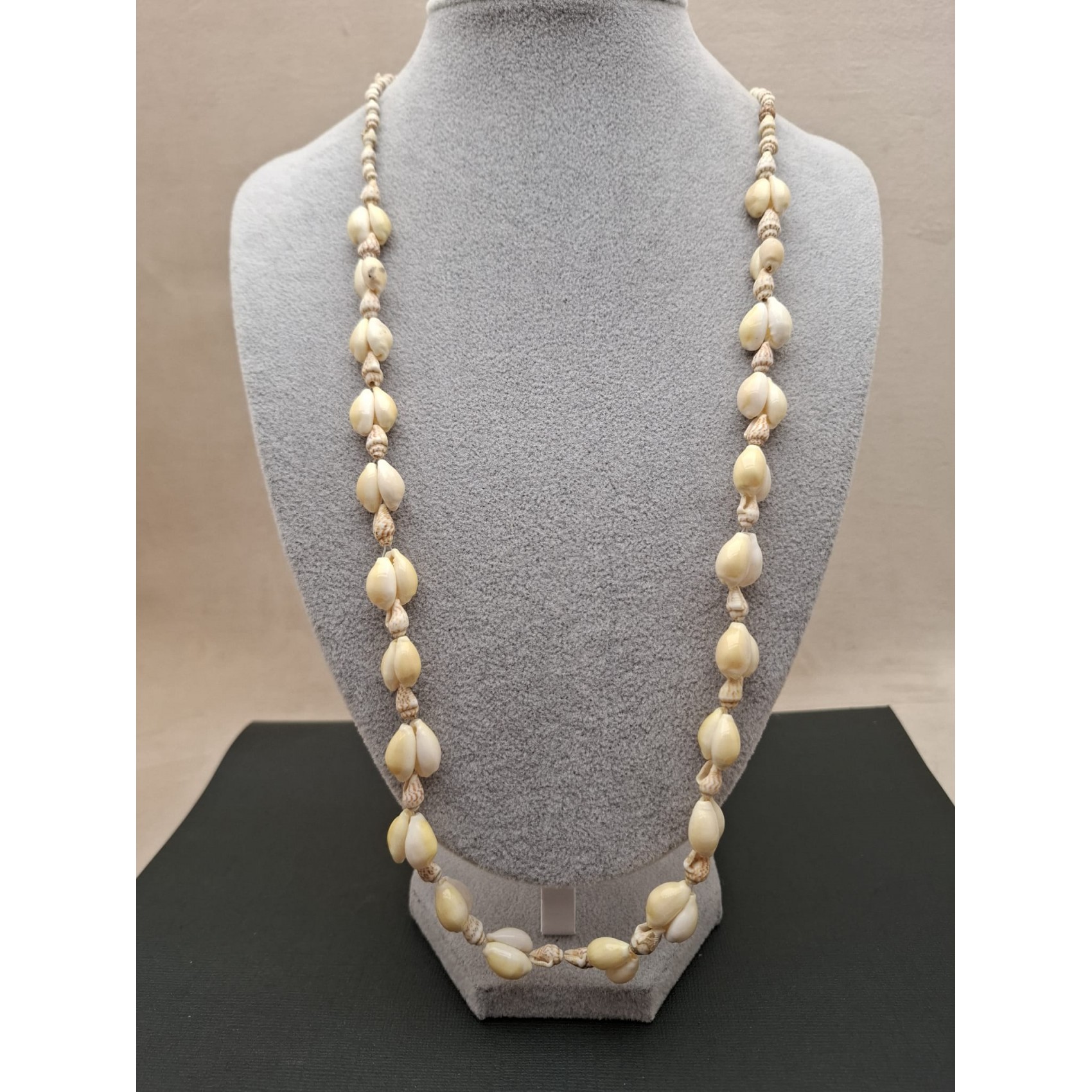 Kaklarota (gliemežvāki)