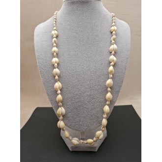 Kaklarota (gliemežvāki)