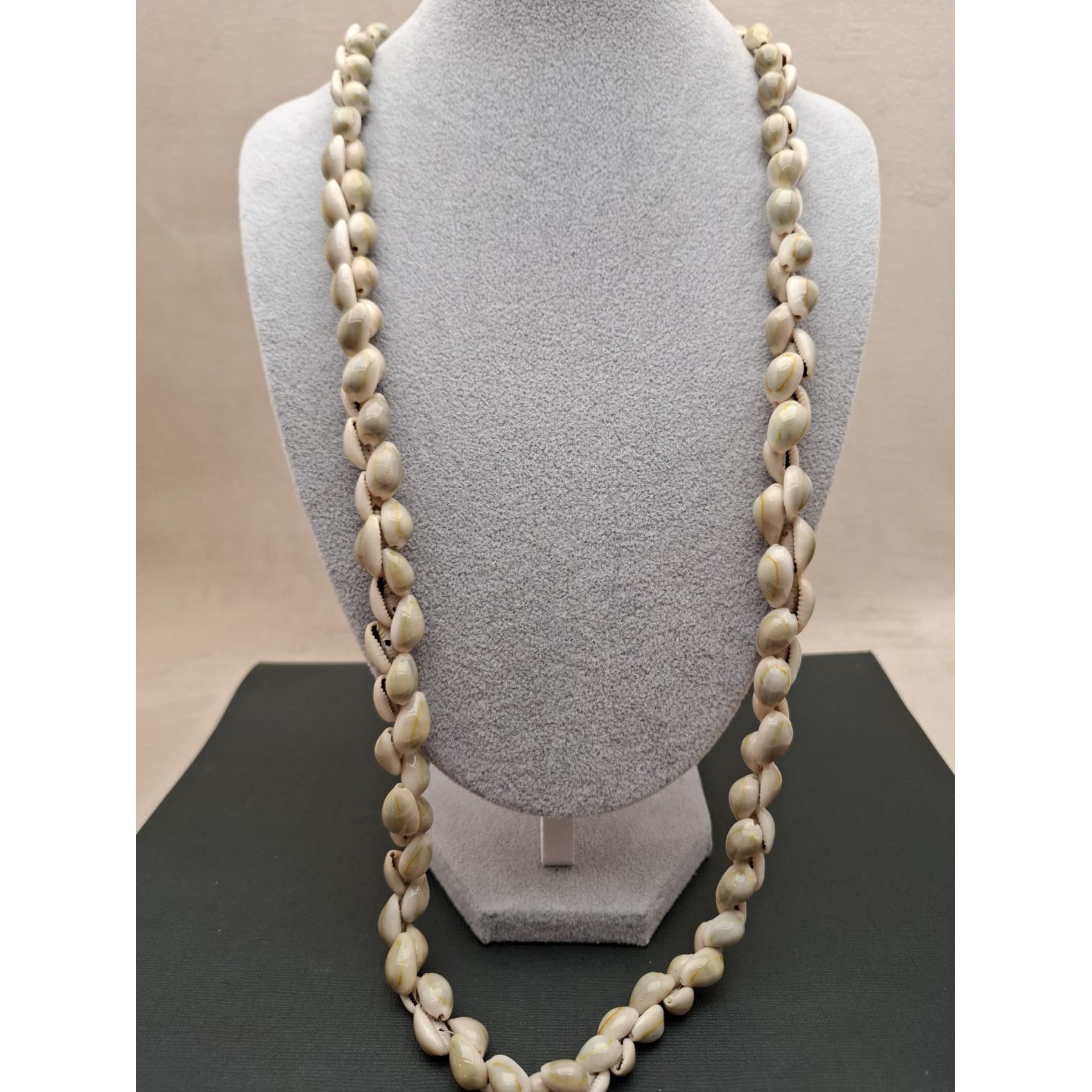 Kaklarota  ( gliemežvāki )