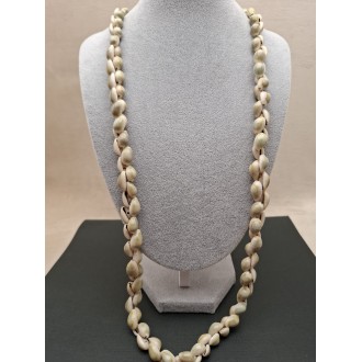 Kaklarota  ( gliemežvāki )