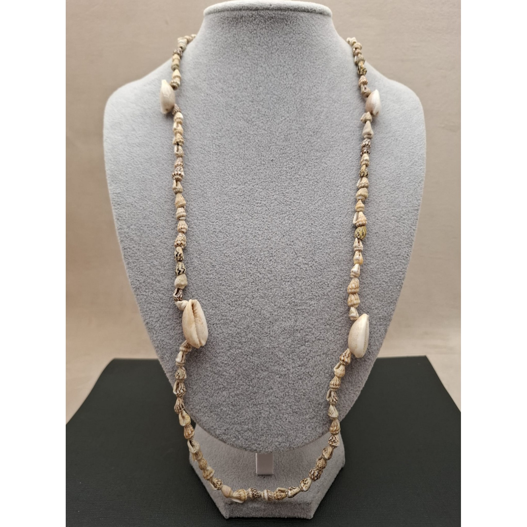 Kaklarota ( gliemežvāki )