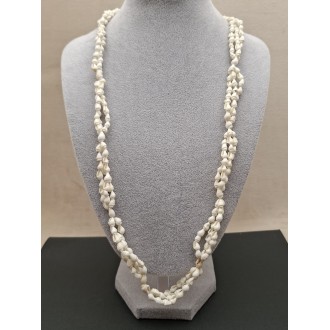 Kaklarota ( gliemežvāki )