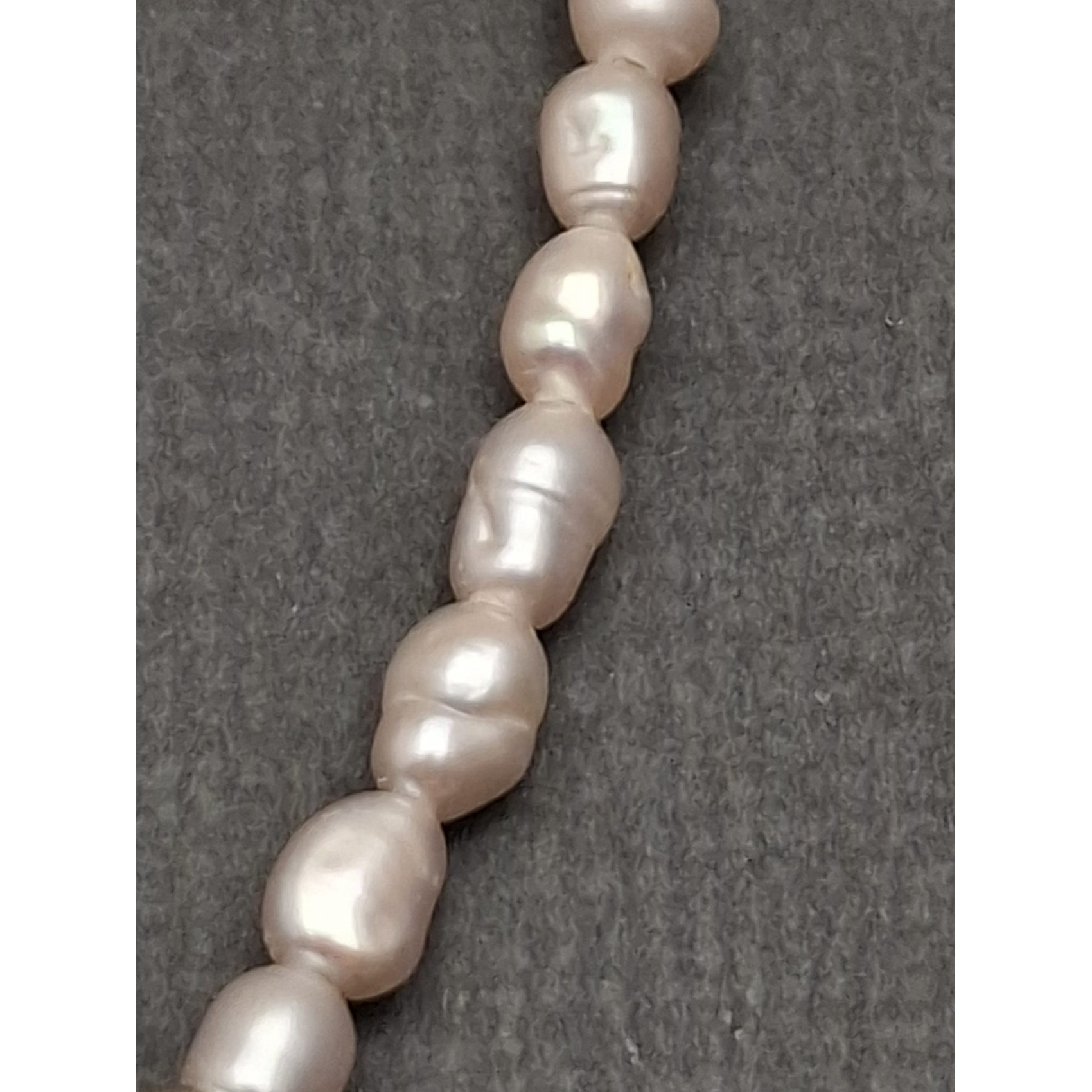 Kaklarota ( dabīgie pērles )