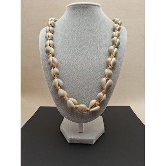 Kaklarota  ( gliemežvāki )