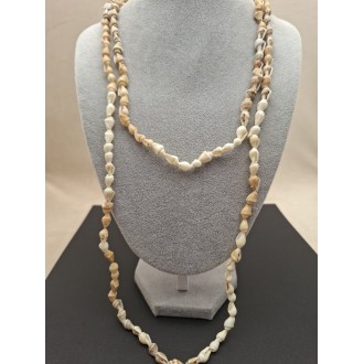 Kaklarota  ( gliemežvāki )