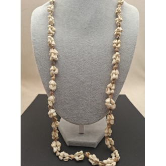 Kaklarota  ( gliemežvāki )