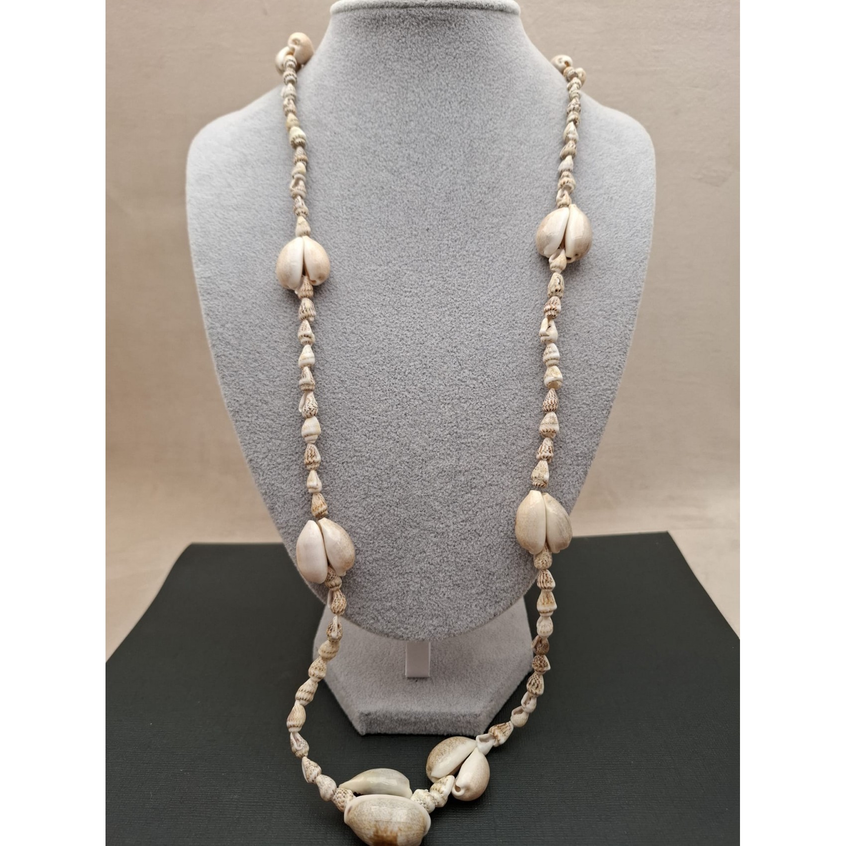 Kaklarota  ( gliemežvāki )