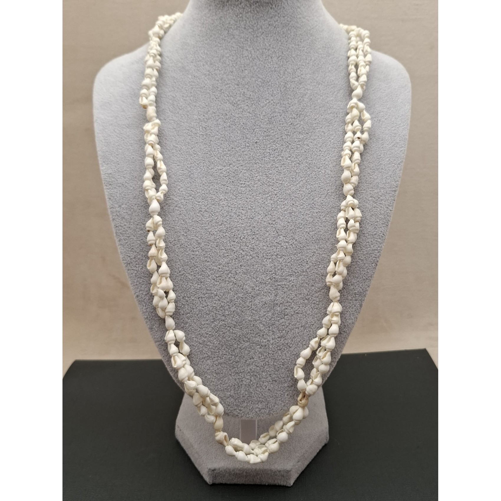 Kaklarota ( gliemežvāki )